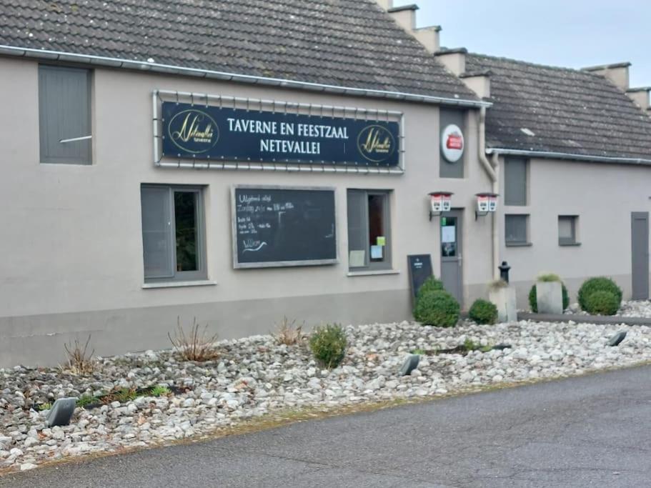 Marevi Gezellige In * Geel